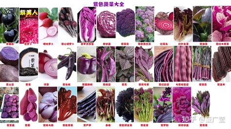 紫色 蔬菜